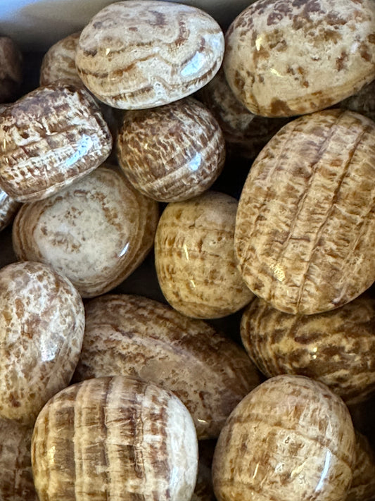 Aragonite Tumbles