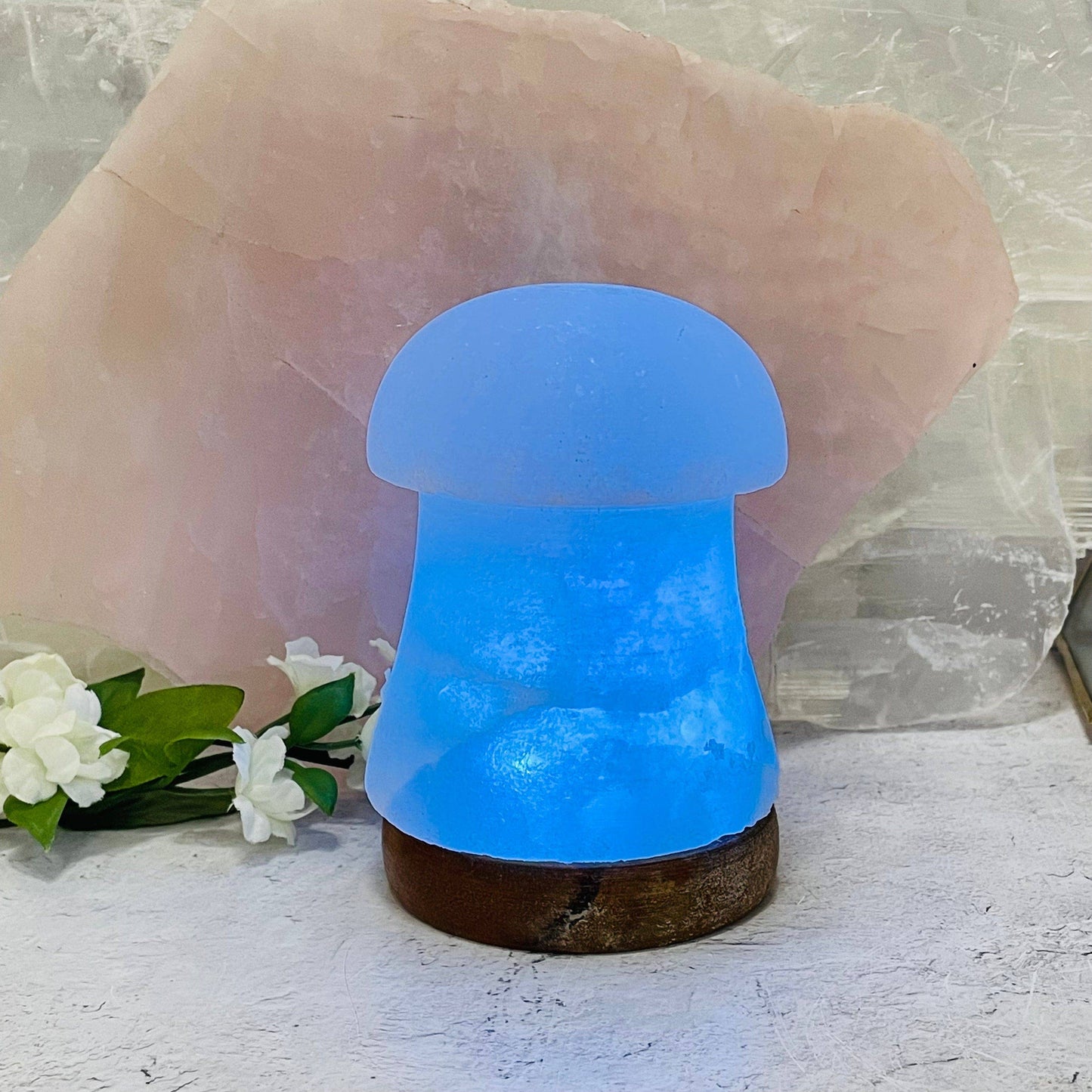 Crystal Himalayan Salt White Mushroom Lamp - Color Changing