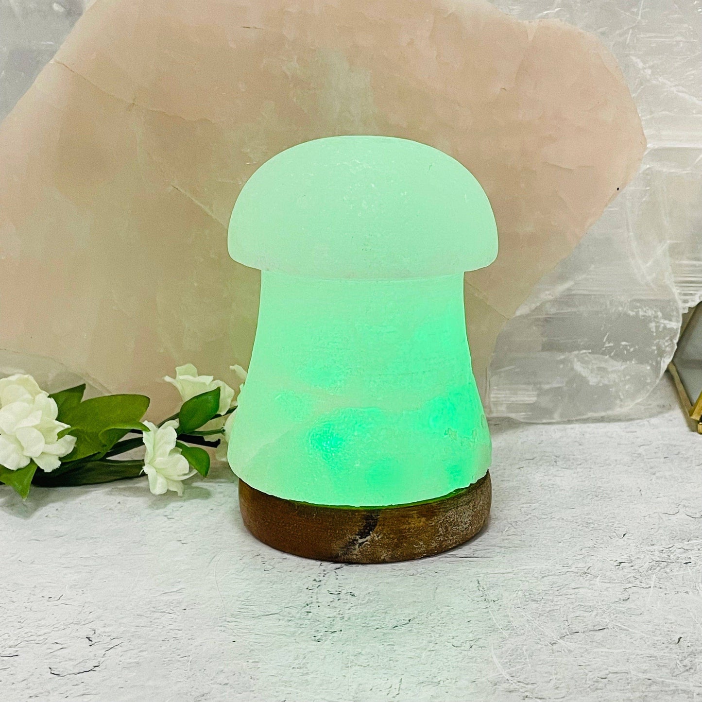 Crystal Himalayan Salt White Mushroom Lamp - Color Changing
