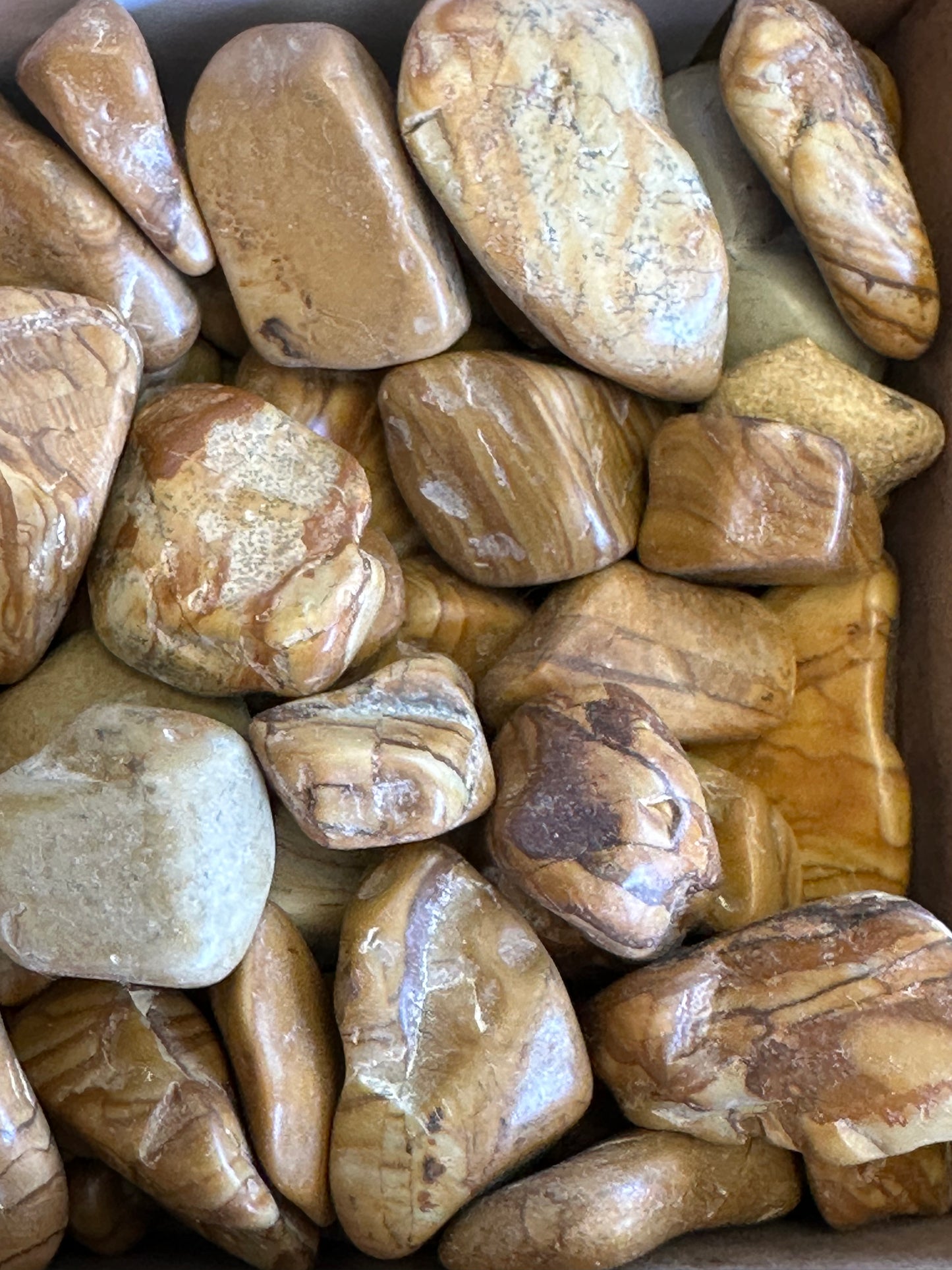 Picture Jasper Tumbles