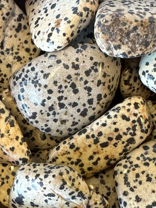 Dalmatian Jasper Tumbles